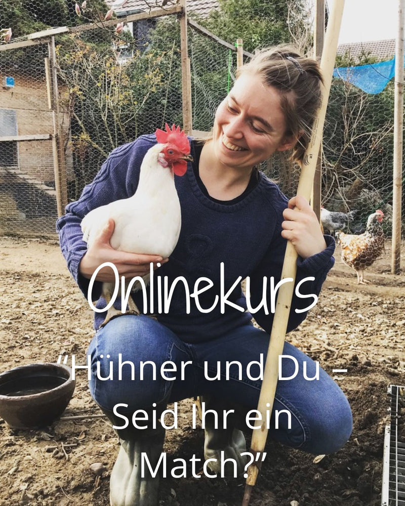 Onlinekurs "Hühner und Du – Seid Ihr ein Match?"